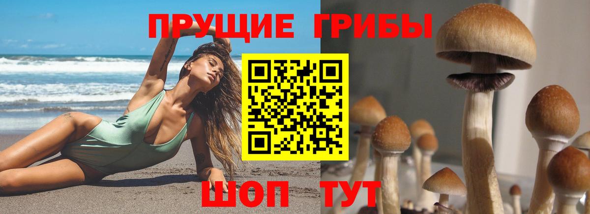 Ирбит  Кокаин  Экстази  Вход с VPN  Меф МЯУ МЯУ кристаллы  ГАШИШ  Каннабис  А ПВП СОЛЬ   Меф 